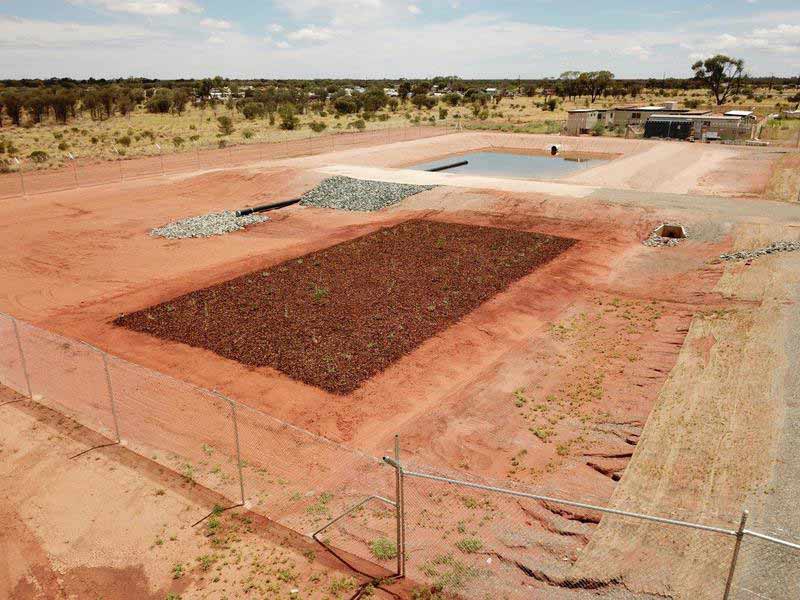 Plants in red soil - Hot Water Systems in Alice Springs NT